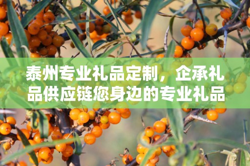 泰州专业礼品定制，企承礼品供应链您身边的专业礼品定制公司